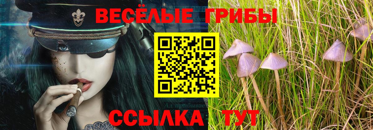 Псилоцибиновые грибы ЛСД  Вход с VPN  Дербент 