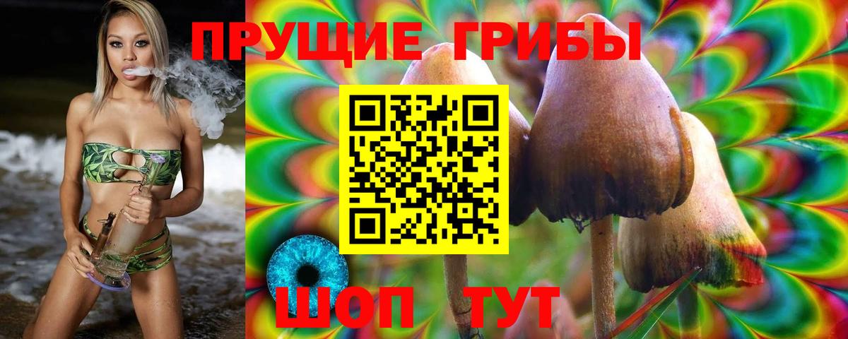 Псилоцибиновые грибы прущие грибы Дербент
